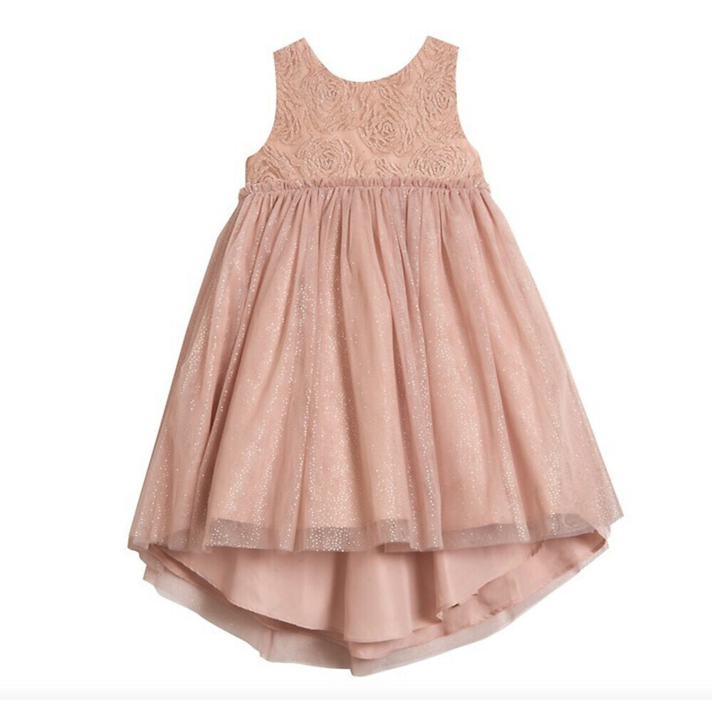 Pastourelle Little Girl's Lace & Tulle Dress Size 4